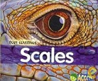 Scales артикул 12675b.